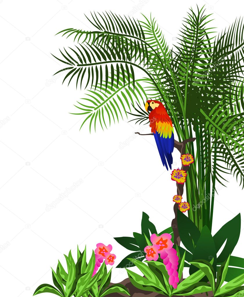 Animated jungle background Vector Art Stock Images | Depositphotos