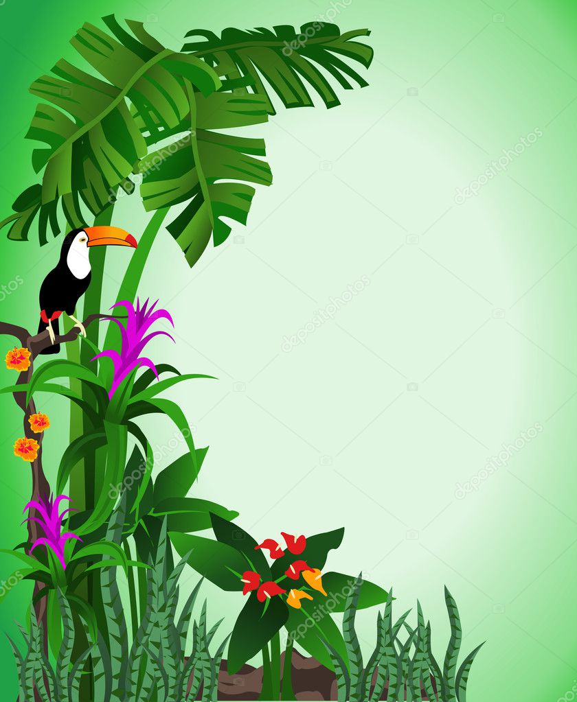 Green background illustration of tropical forest with flowers and a toucan