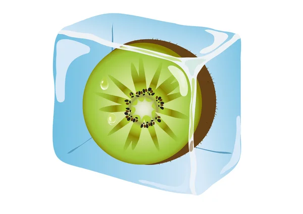 Kiwi_inside_ice_cube