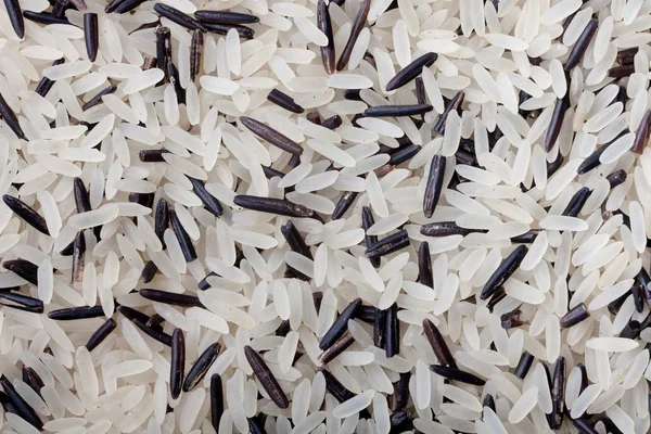 Modèle de mélange de riz sauvage — Photo
