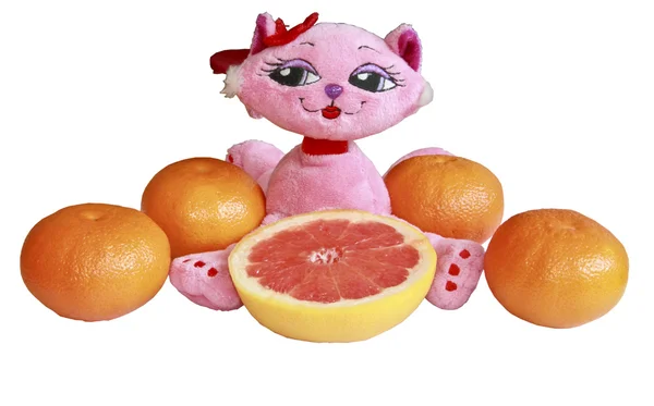 The pink toy cat with tangerines and a grapefruit — Stock Photo, Image