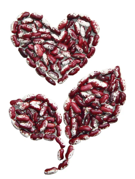 Liści i serca z string bean na białym tle — Zdjęcie stockowe