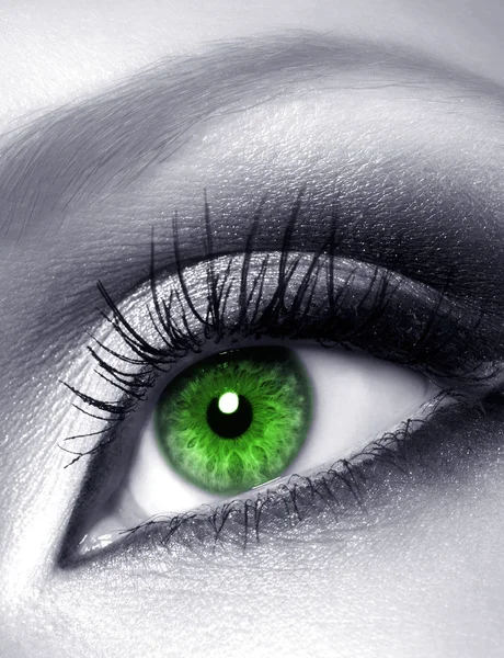 绿眼 — 图库照片