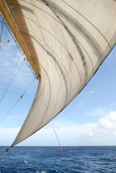 La vela e il mare — Foto Stock