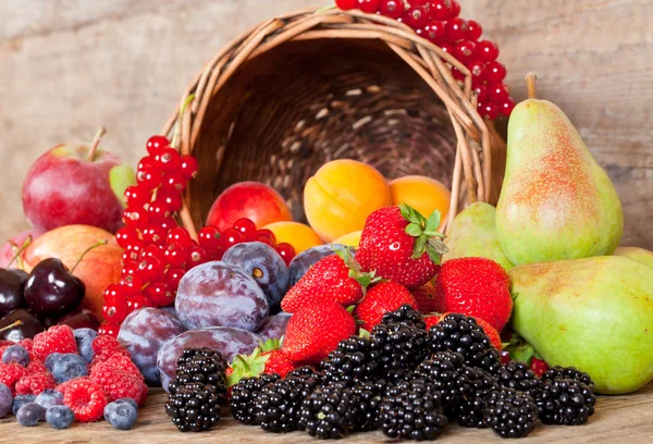 Fructe Sezoniere Proaspăt Recoltate Coș — Fotografie, imagine de stoc