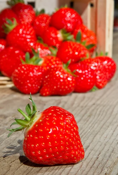 Ein Korb Voll Erdbeeren Und Eine Erdbeere Liegt Vor Ihnen — Stockfoto