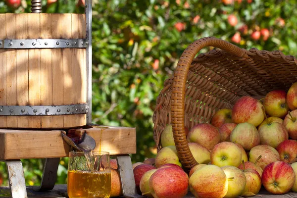 Čerstvě vylisované jablečné šťávy — Stock fotografie