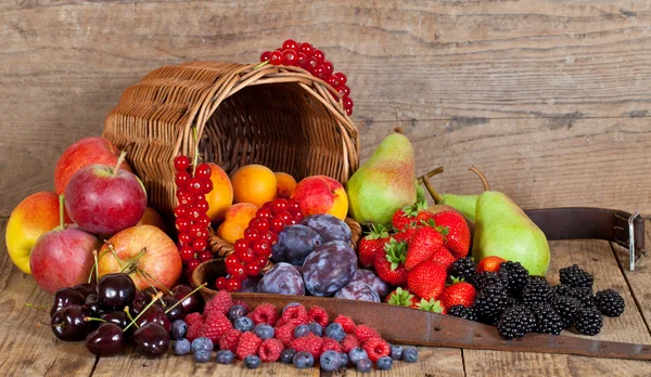 Fruit Basket Stock Photo