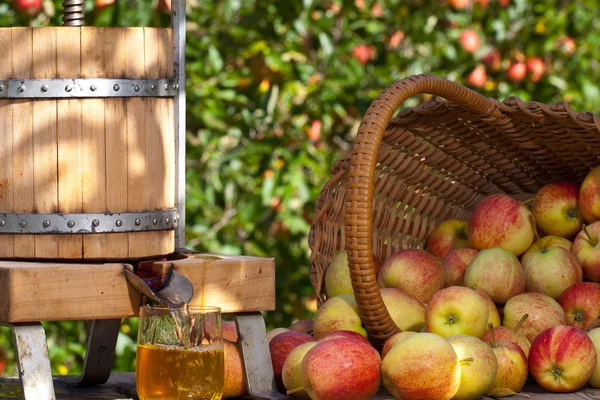 Freshly squeezed Apple Juice Stock Picture