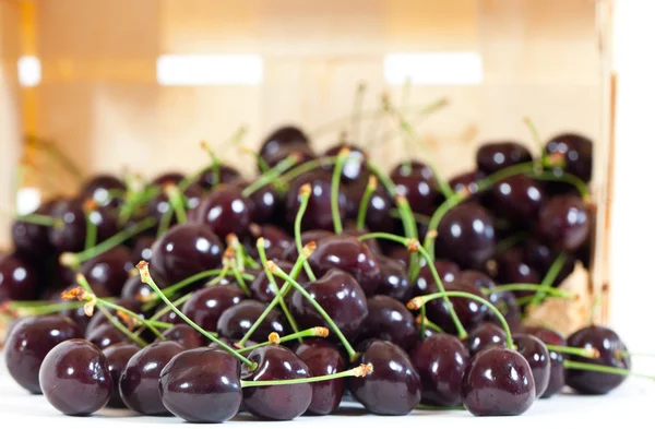 stock image Cherries in Studio