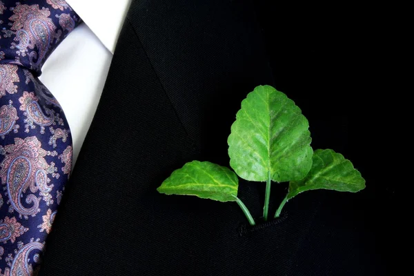 黒のスーツ シャツ ネクタイ折りえりの つの緑の葉を持つ — ストック写真