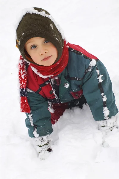 stock image Boy in the snow