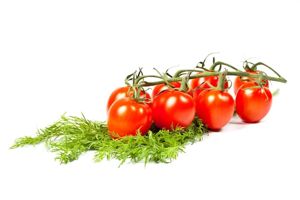 Dill bunch and tomatoes — Stock Photo, Image