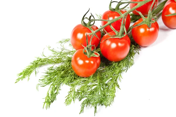 Tomates y eneldo Imagen De Stock