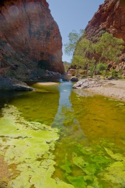 Walpa Gorge