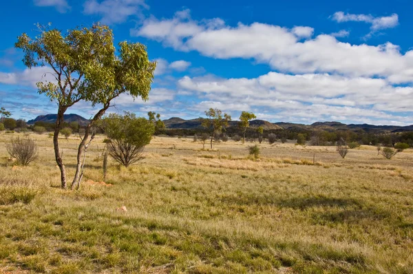 Αυστραλιανή Τοπίο Στο Έδαφος Northerm Αυστραλία — Φωτογραφία Αρχείου