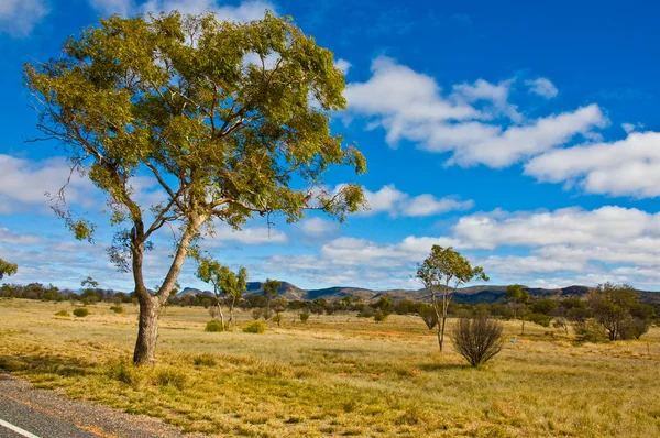 Пейзаж Австралии — стоковое фото