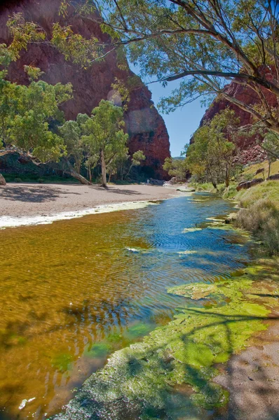 Walpa Gorge Australian Outback Northern Territory — Stock Photo, Image