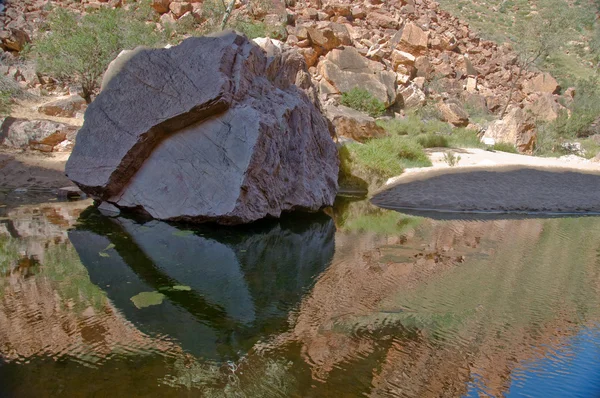 Ørken dam - Stock-foto