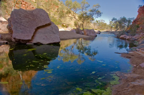 Pouštní Rybník Červené Centra Severní Teritorium Austrálie — Stock fotografie
