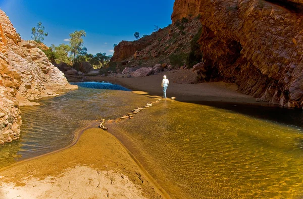 Walpa Gorge Australian Outback Northern Territory — Stock Photo, Image