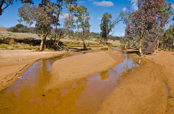 Bush Silnici Vnitrozemí Severní Území Austrálie — Stock fotografie