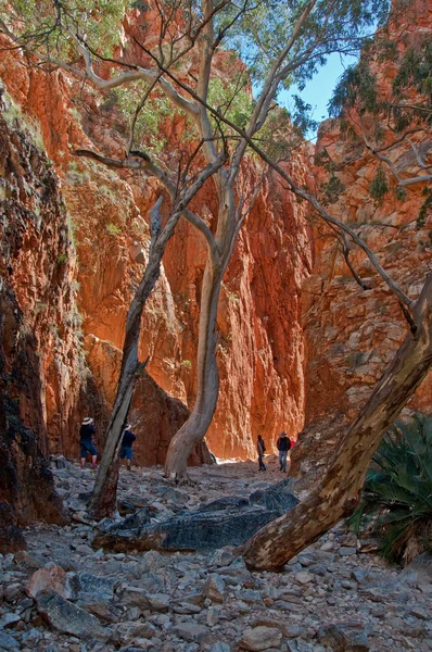 Stanley chasm — Stock Photo, Image