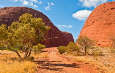 kata tjuta, Avustralya kırmızı Merkezi Görünümü