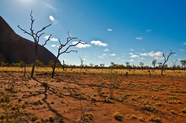 Australian landscape — Stock Photo, Image