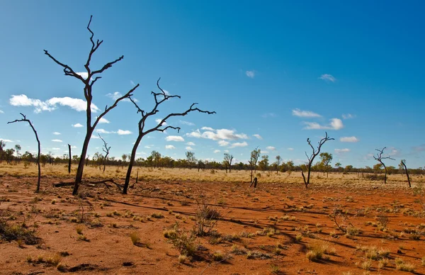 Australiska landskap — Stockfoto