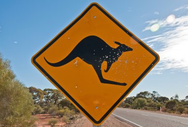 Kanguru sinyal