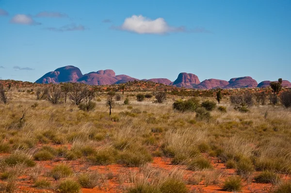 Panoramiczny Widok Kata Tjuta Australijski Centrum Czerwony — Zdjęcie stockowe