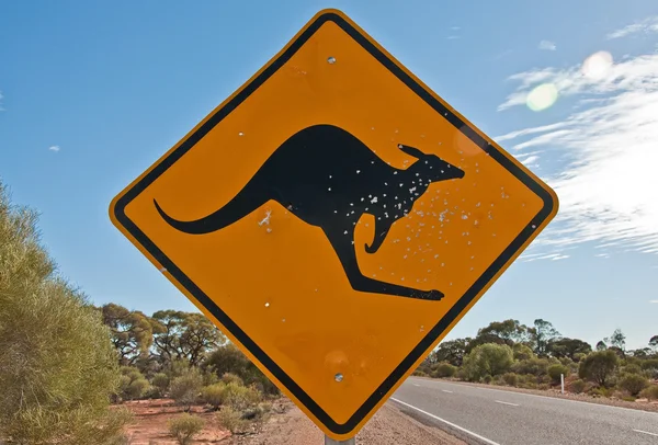 Kangaroo signal — Stock Photo, Image