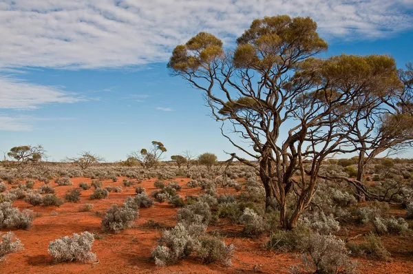 Australian landscape Stock Photo