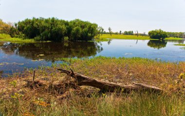 Kakadu Ulusal Parkı