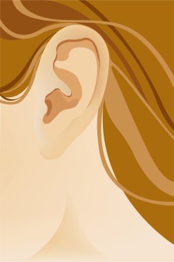 The human ear. Vector illustration clipart