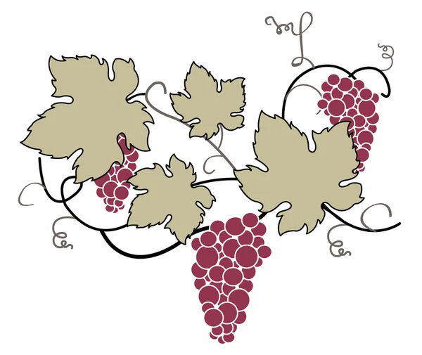 Decorative Grape Vine — Stock Vector