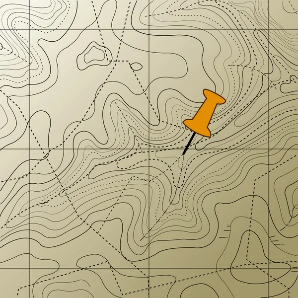 Arka Planda Bir Topografik Harita Desen — Stok Vektör