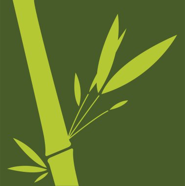 Green bamboo leaf. Vector illustration. clipart