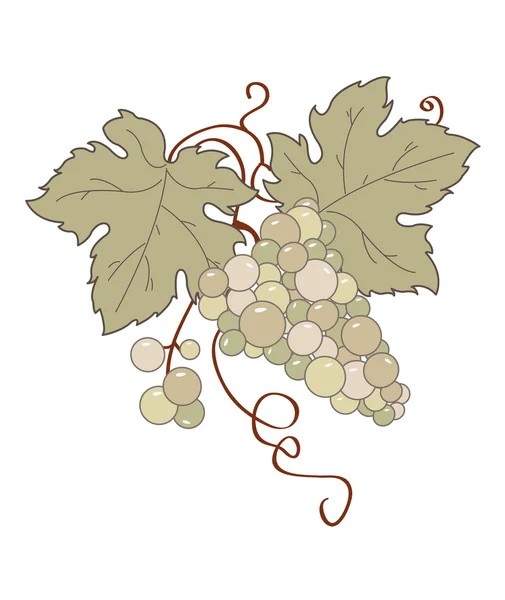 Vecteur de vigne stylisée de rétro. — Image vectorielle