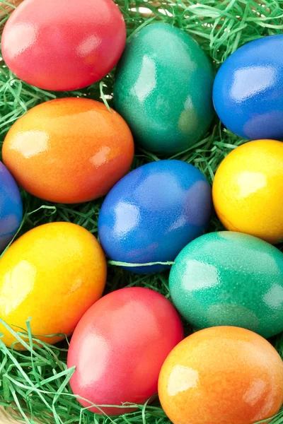 Colored Eggs Nest Bunte Ostereier Einem Nest — Stock Photo, Image
