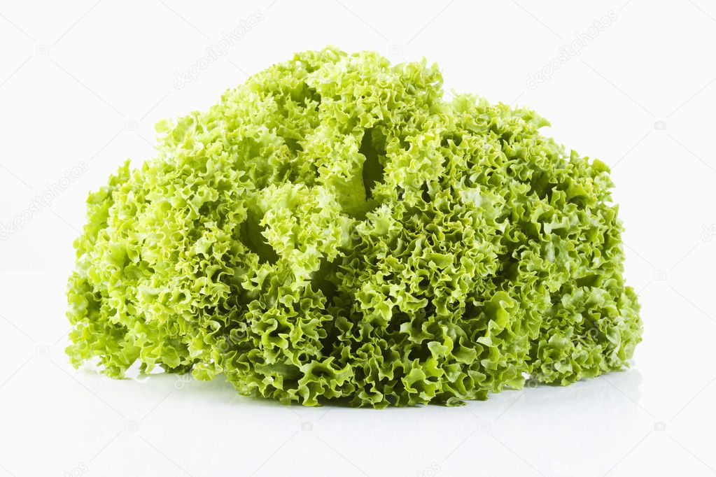 Salade, lollo bionda — Photo #4850184
