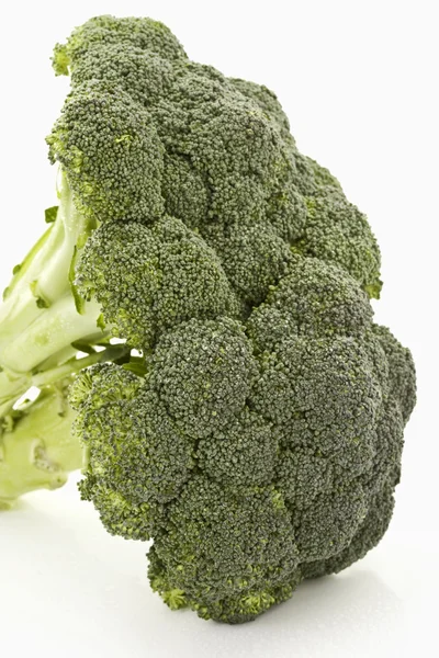 Brokoli, brokkoli — Stok fotoğraf