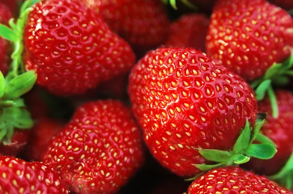 stock image Strawberries