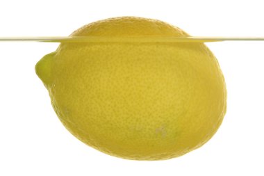A lemon is swimming in an aquarium filled with water