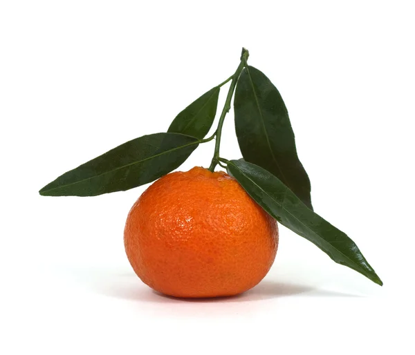 Mandarine Mit Grünen Blättern Isoliert Auf Weiß — Stockfoto