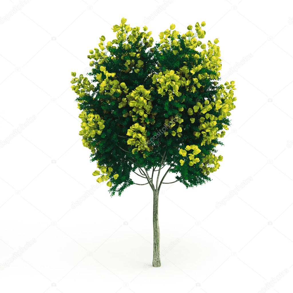 Decorative tree with yellow flowers