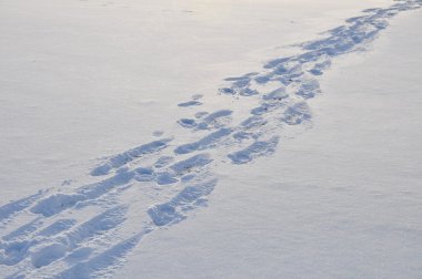 Diagonale viele Fußspuren im Schnee im Gegenlicht