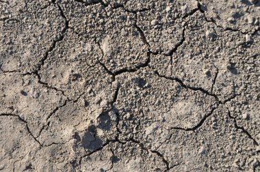 Boden in Trockenheit mit Rissen formatfüllend closeup