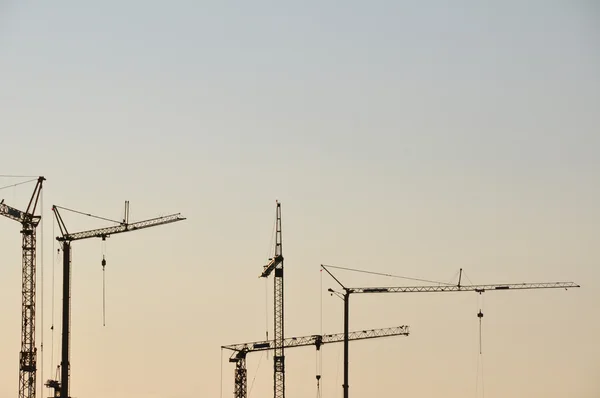 stock image Baukräne vor Abnedhimmel